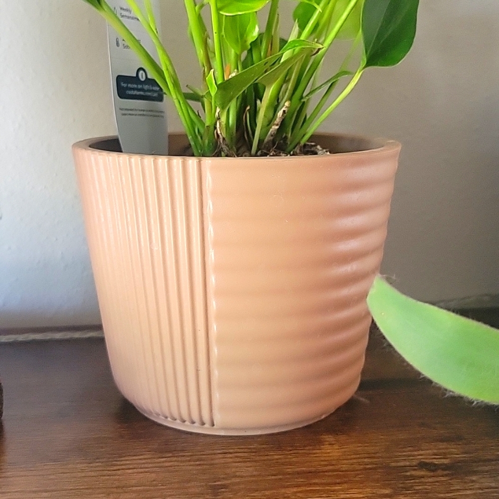 Decorative Planter